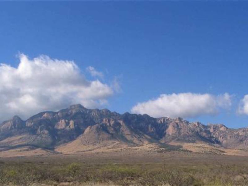 Settle Down, Live Off-Grid : Cochise : Cochise County : Arizona
