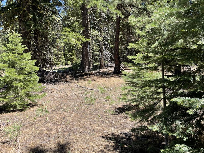 Pond Within Walking Distance : Alturas : Modoc County : California