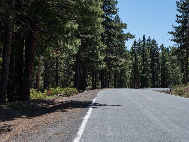 Paved Road, Electric at Edge of Lot : Alturas : Modoc County : California