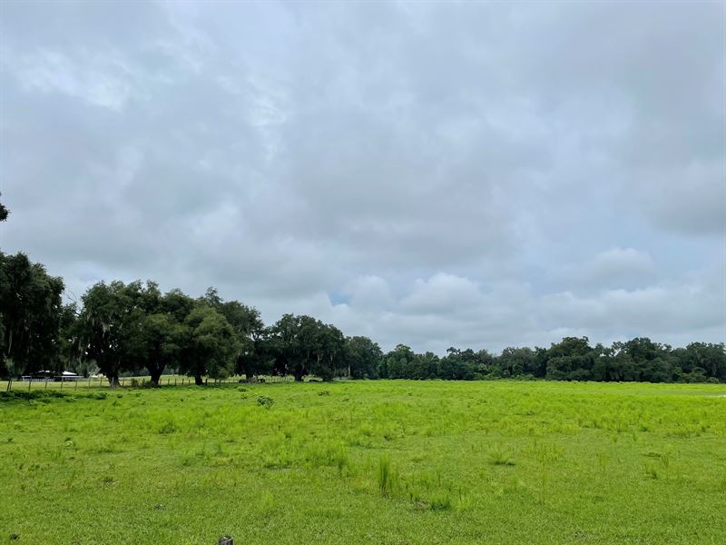 10 Acres in Webster, FL : Webster : Sumter County : Florida