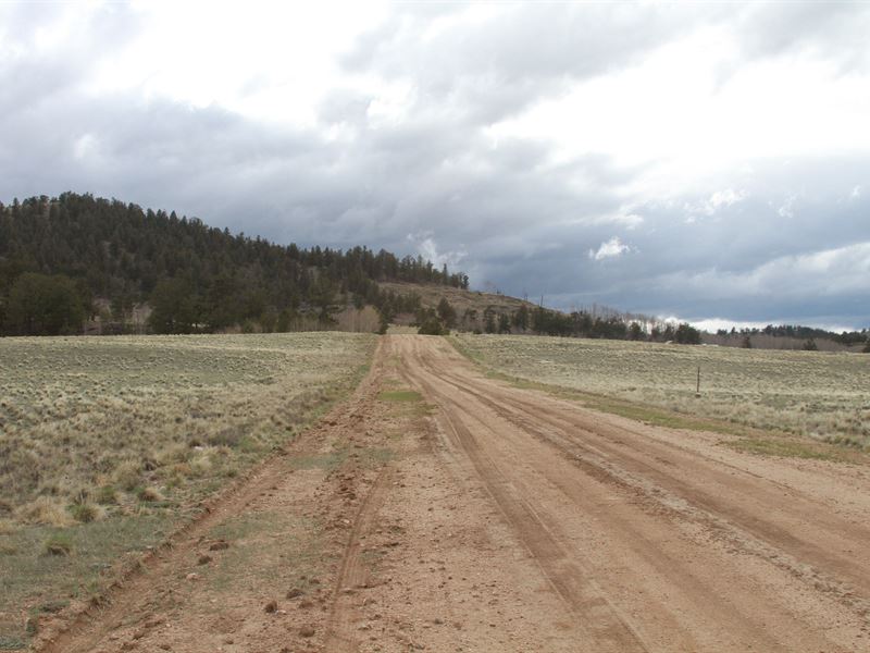 Close to Fishing Lakes : Hartsel : Park County : Colorado