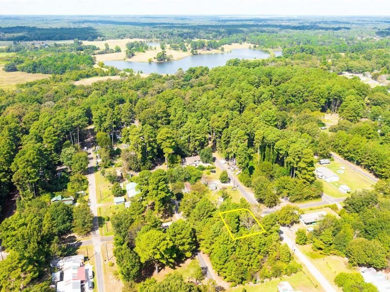 Unrestricted, Wooded Corner Lot : Quitman : Wood County : Texas