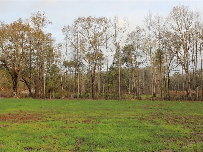 5.25 Acre Residential Property : Prattville : Autauga County : Alabama