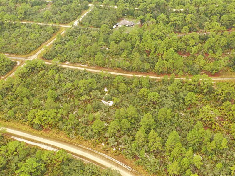 .26 Acres in Highlands County, FL : Avon Park : Highlands County : Florida