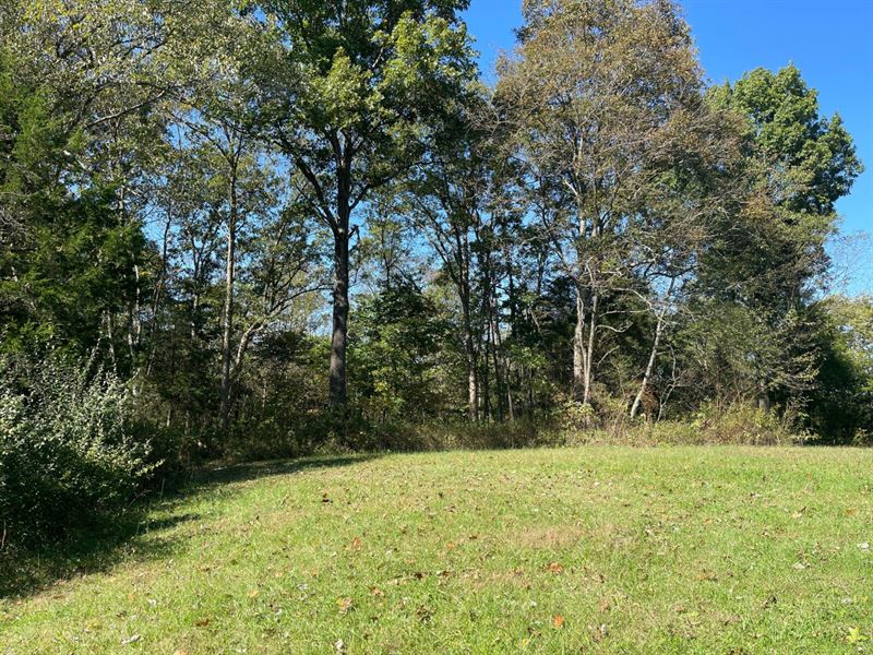 6.9 Acres Shelby County, KY : Bagdad : Shelby County : Kentucky