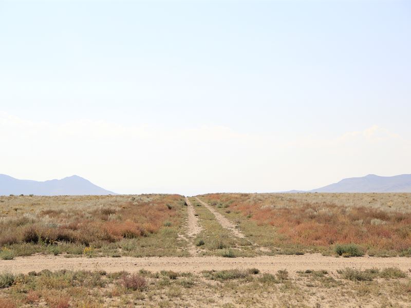 10.4 Ac in Colorado for $499 Down : Mesita : Costilla County : Colorado
