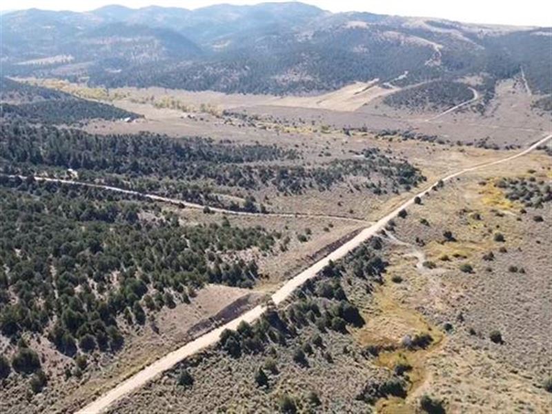 Beautiful Mountain View Land : Fort Garland : Costilla County : Colorado