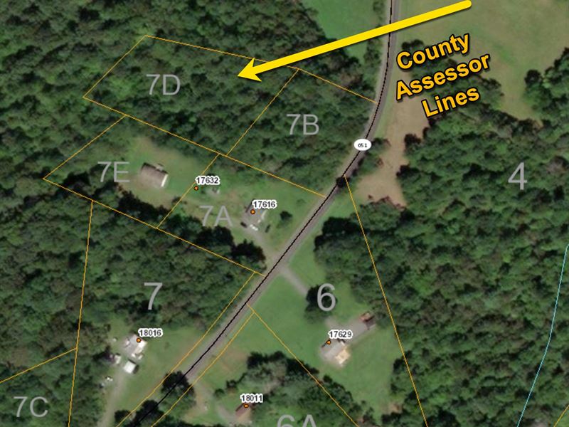 Beautiful Land for Country Living : Unionville : Orange County : Virginia