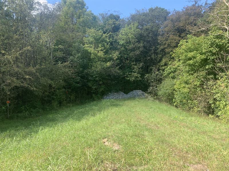14 Ac, Close But Secluded : Mount Pleasant : Maury County : Tennessee
