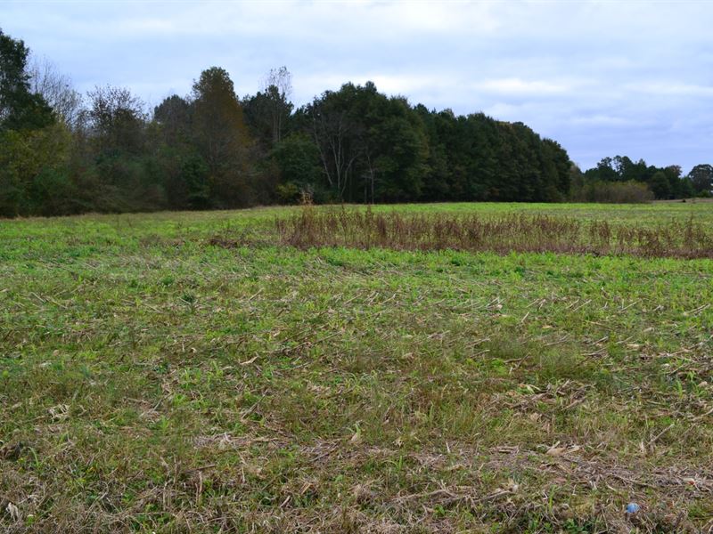 12 Ac. Mini Farm, Cherokee County : Centre : Cherokee County : Alabama
