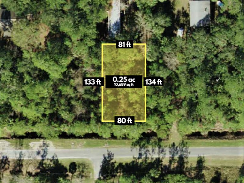 Gorgeous Infill Lot by The River : Saint Marks : Wakulla County : Florida