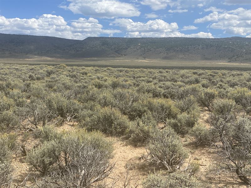 Near Mountains for Only $99/Month : San Luis : Costilla County : Colorado
