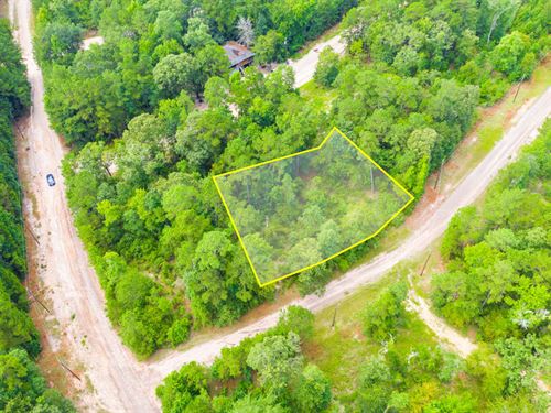Triple Lot, RV & Mobile, Utilities : Trinity : Texas