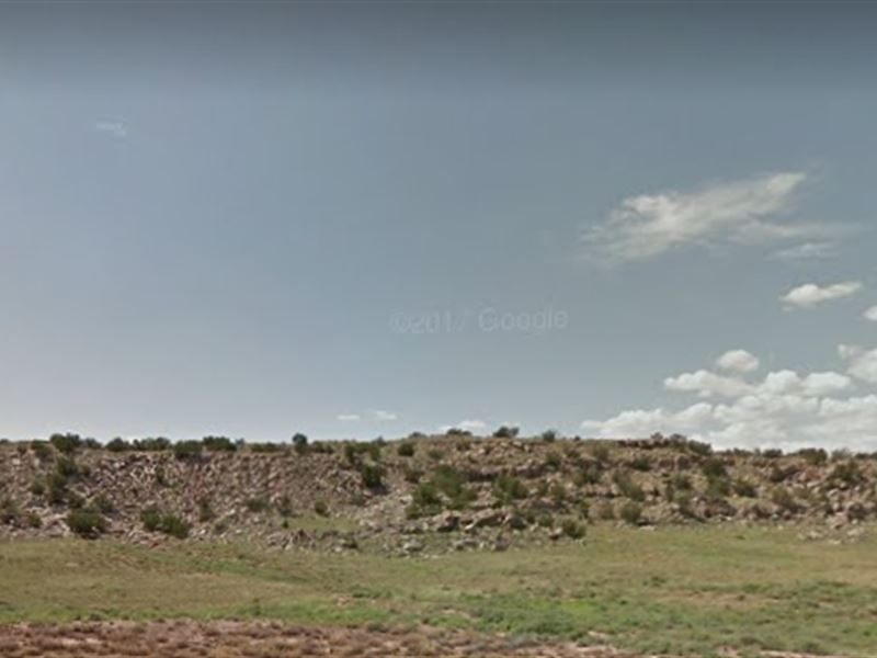 Free Some Land : Sanders : Apache County : Arizona