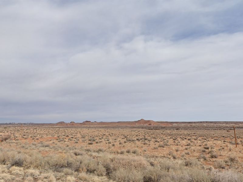 1.25 Acre in Az, Just $49 Down : Holbrook : Navajo County : Arizona
