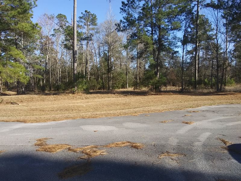 Corner Lot, Sailing & Fishing : Oriental : Pamlico County : North Carolina