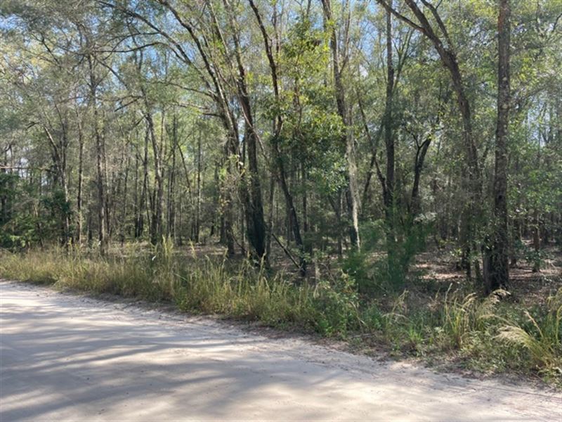 Country Living : Wellborn : Suwannee County : Florida
