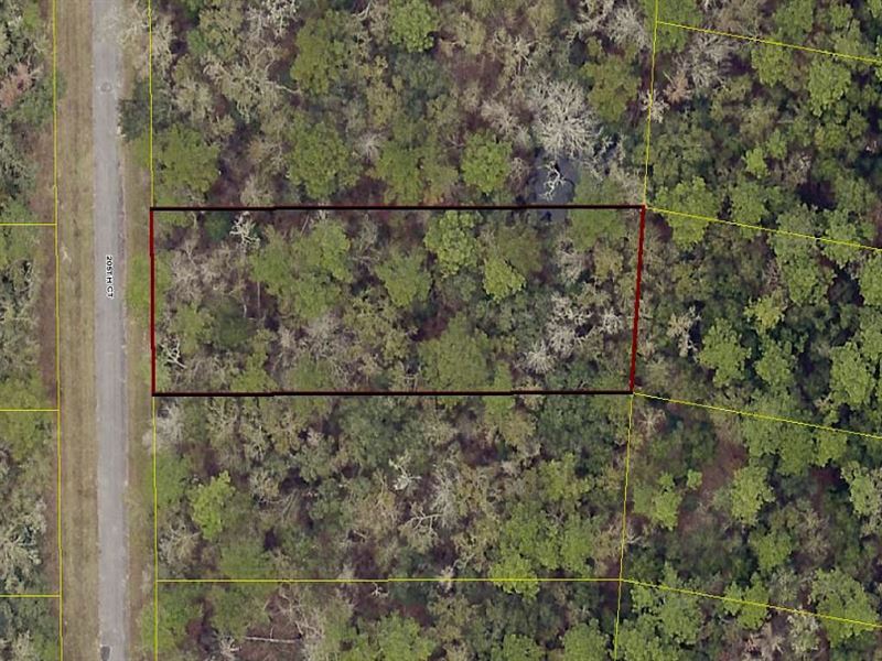 Almost 3/4 Acre in Live Oak : Live Oak : Suwannee County : Florida