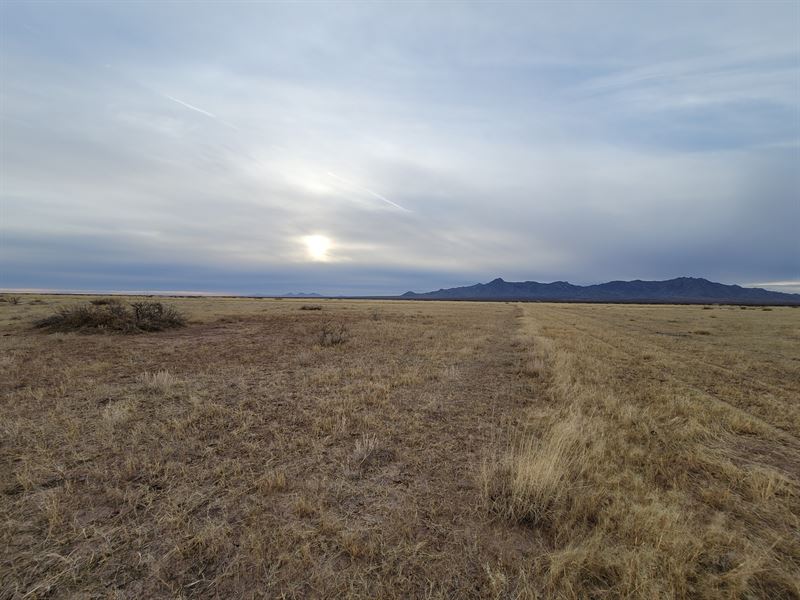 5 Acres for Sale in Luna County, NM : Deming : Luna County : New Mexico