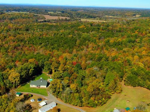 6.1 Acres of Densely Wooded Area : Mocksville : Davie County : North Carolina