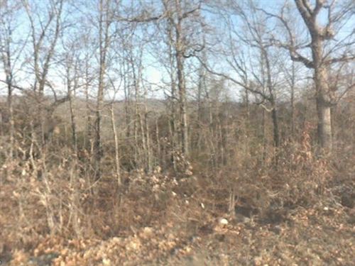 .39 Acre in Baxter County, AR : Salesville : Baxter County : Arkansas
