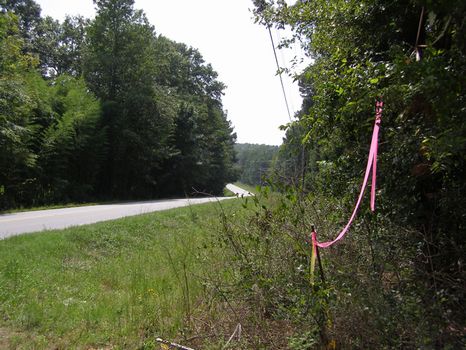 Near Lake Varner, Covington : Covington : Newton County : Georgia