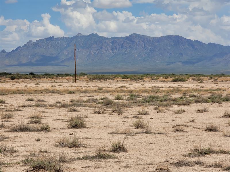 Unrestricted 1.5 Acres Only $125/Mo : Deming : Luna County : New Mexico