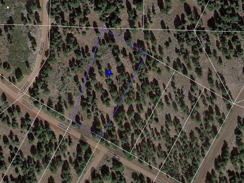 Rural Forested Lot in The Northeast : Adin : Modoc County : California