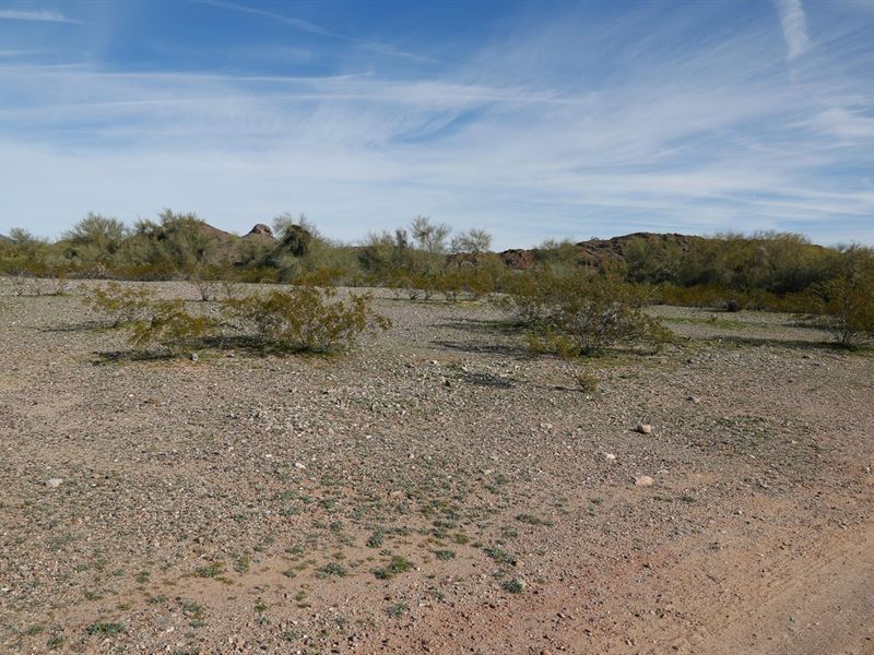 Spend Time on 1.04 Acres in AZ : Concho : Apache County : Arizona