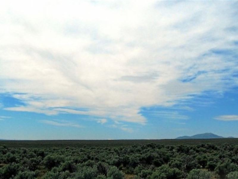 Between Two Rivers : Elko : Elko County : Nevada