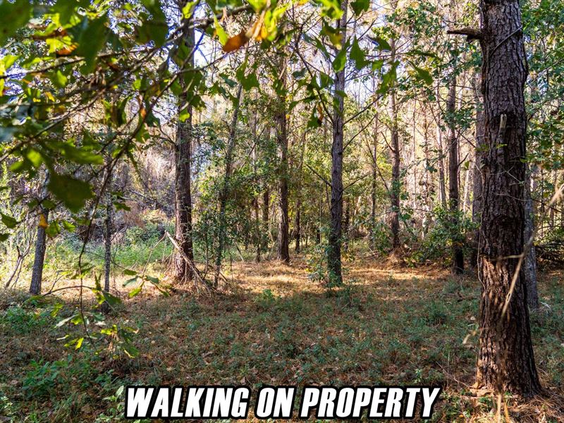 $7,900 Down, City Water, Must Sell : Greensboro : Gadsden County : Florida