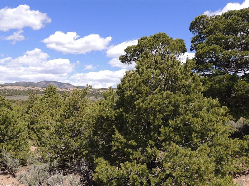 You Need Time in The Mountains : San Luis : Costilla County : Colorado