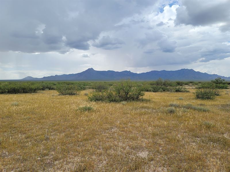 Be Bold & Seize 1 Acre, Only $99/Mo : Deming : Luna County : New Mexico