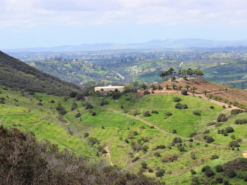 Incredible Fallbrook Homesite : Fallbrook : San Diego County : California