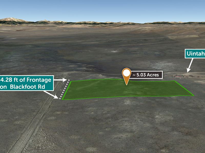 5.03 Ac Colorado Mountain Property : Hartsel : Park County : Colorado