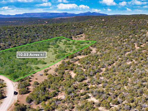 Gated Community, Power & Internet : Estancia : Torrance County : New Mexico