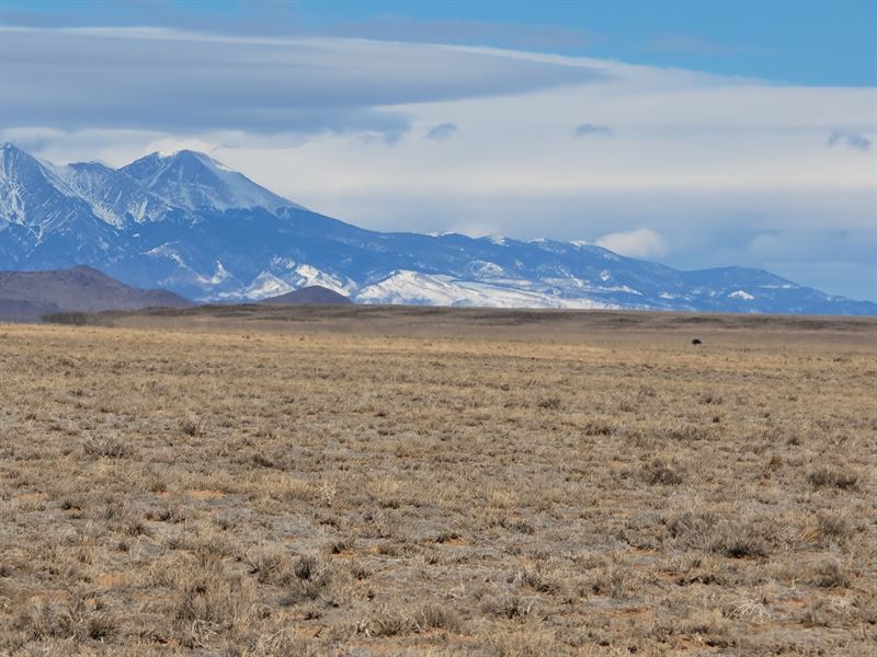 Escape Your Neighbors, 5 Ac 4 Sale : San Luis : Costilla County : Colorado