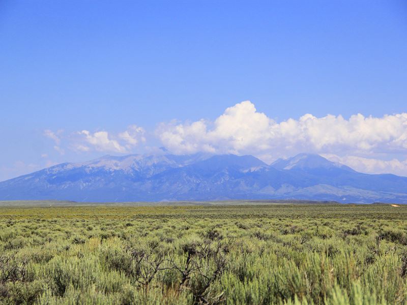 Selling 5 Acres in Blanca, CO : Blanca : Costilla County : Colorado