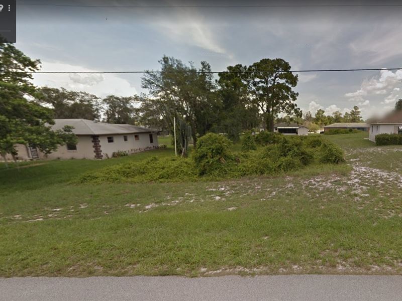 Nice Neighborhood Near Lake : Lake Placid : Highlands County : Florida