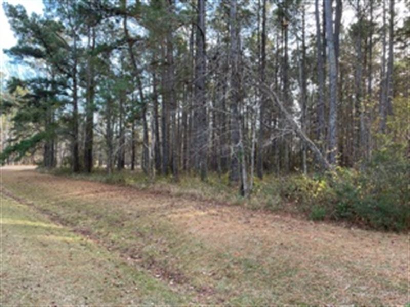 Beautiful 1.82 Acre Wooded Lot : Beaufort : Carteret County : North Carolina