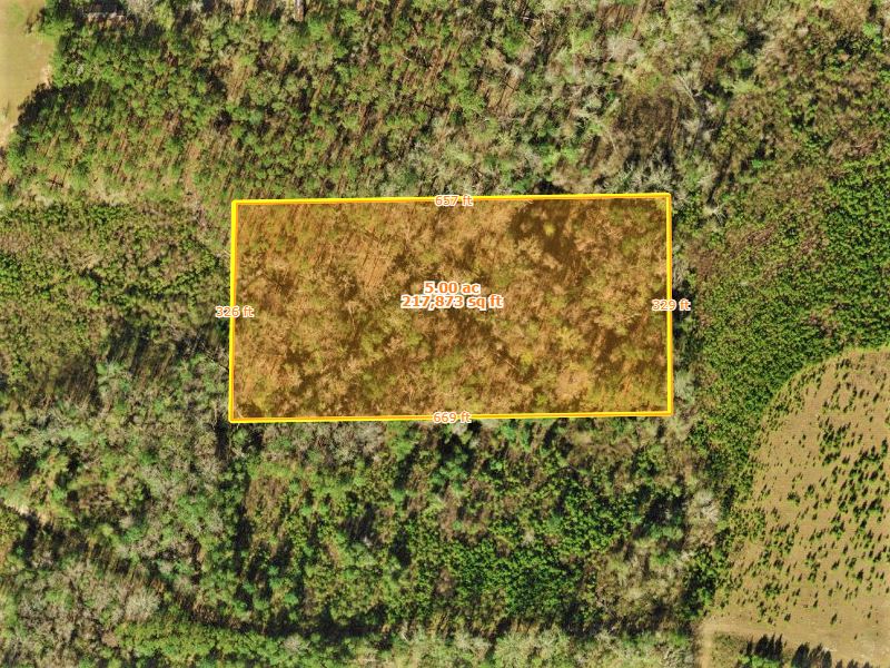 Pristine 5 Acres of Gorgeous Land : Quincy : Gadsden County : Florida