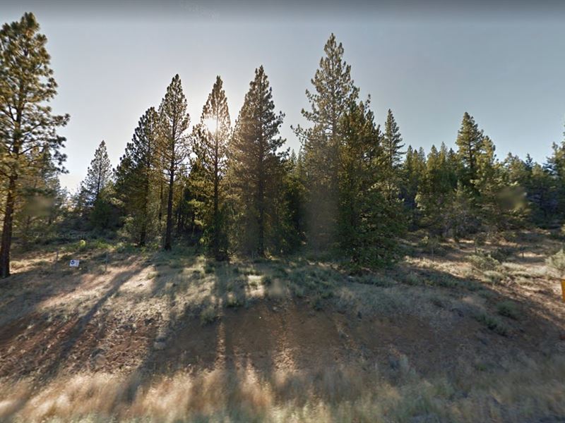 Residential, Electricity, & Hunting : Alturas : Modoc County : California