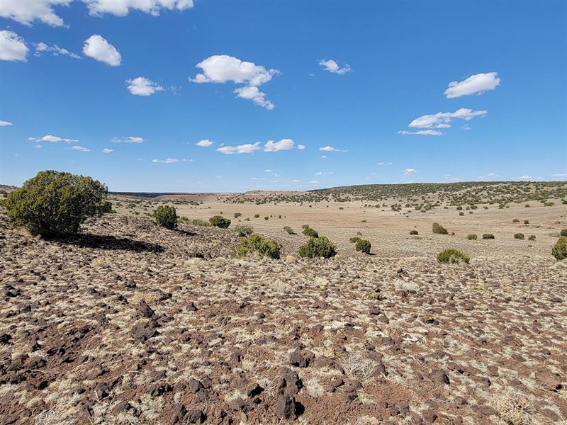 Unlimited Potential Land in Concho : Concho : Apache County : Arizona