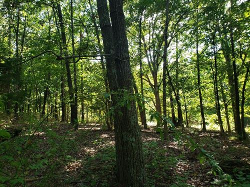 Land with Power : Raymondville : Texas County : Missouri