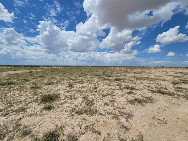 An Acre Away Only $99 Monthly : Deming : Luna County : New Mexico