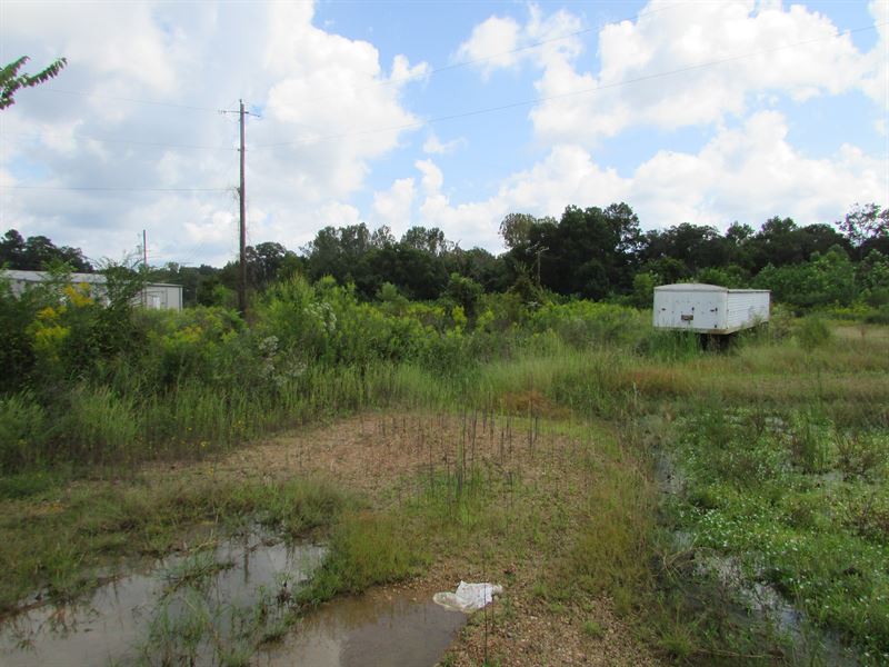 Commercial 13 Ac in Holmes County : Lexington : Holmes County : Mississippi