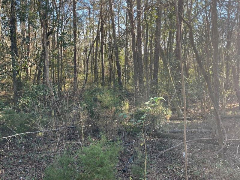 Vacant Lot on Chewalla Circle : Eufaula : Barbour County : Alabama