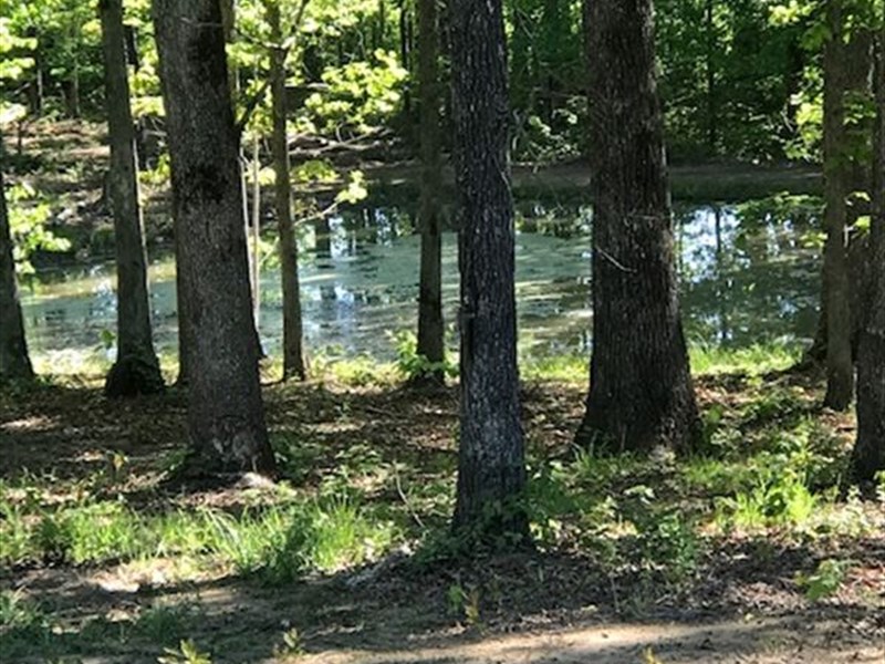 Serene Area with Stocked Pond : Monteagle : Marion County : Tennessee