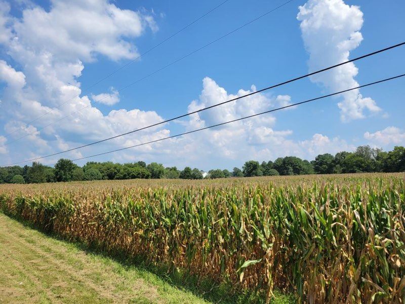 Centrally Located : Manchester : Coffee County : Tennessee
