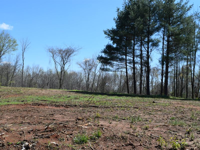 Multiple Unrestricted Lots : McMinnville : Warren County : Tennessee
